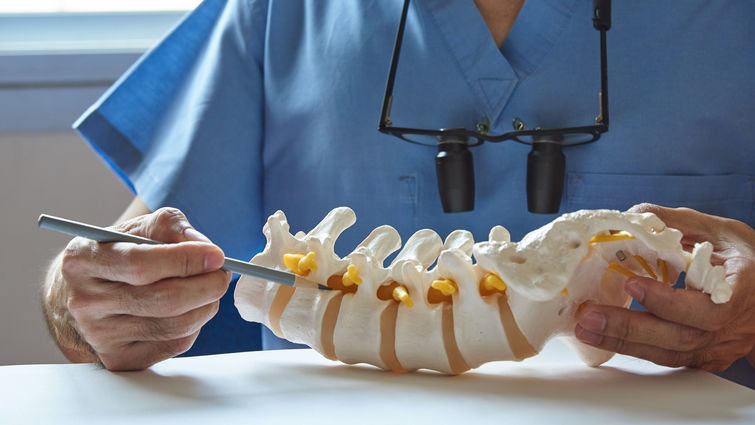 neurosurgeon holding spine replica and pointing to a specific disk
