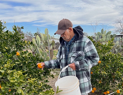 Luciano Dueñas Villafuente picking fruit