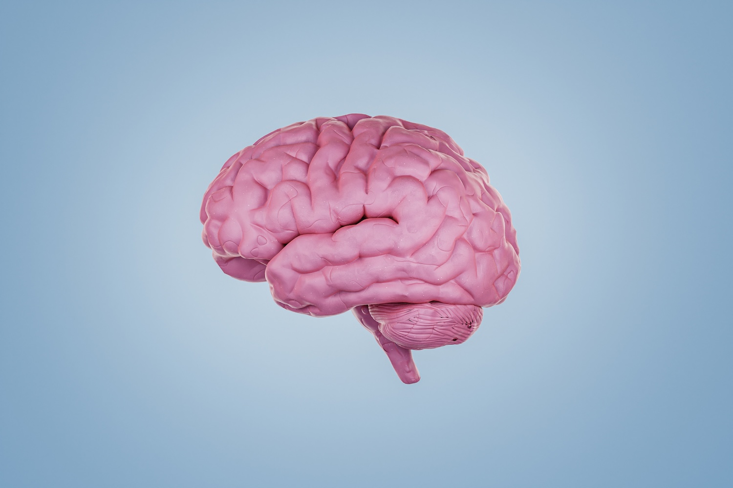 Digital graphic of a pink brain on a blue background
