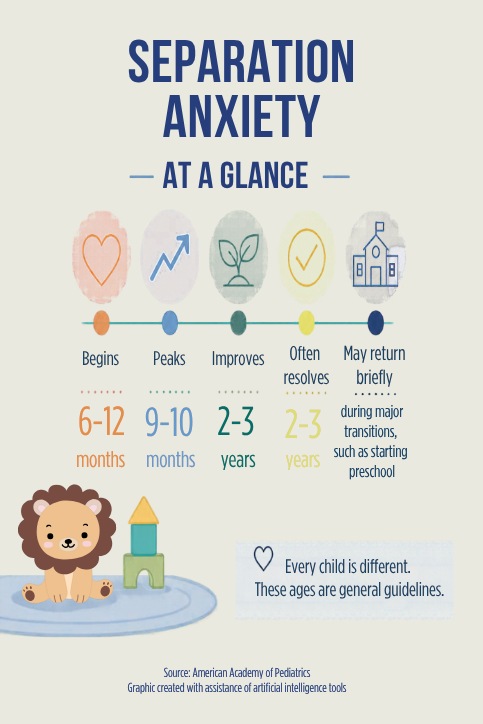 timeline graphic showing estimated stages of separation anxiety