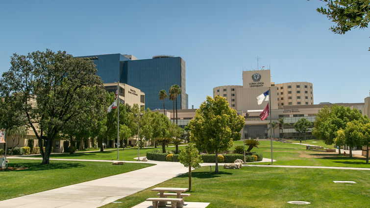 photo of university campus and hospital in background