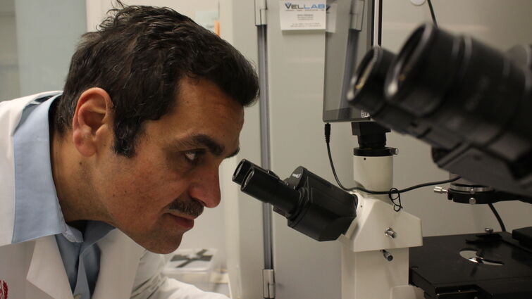 a doctor is looking into a microscope 