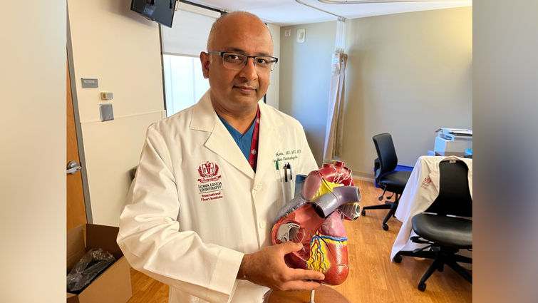 Dr. Kamal Kotak demonstrates where a leadless pacemaker would insert into the human heart using a 3D model.