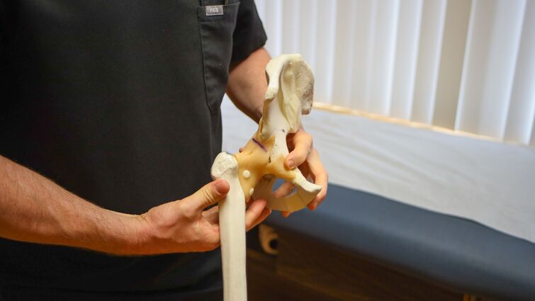 Doctor in black scrubs holding a model of a hip bone