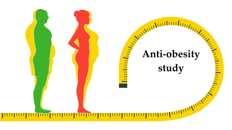 graphic image with wording 'anti-obesity study"