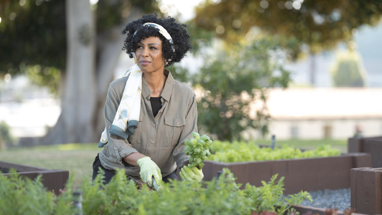 Woman gardens