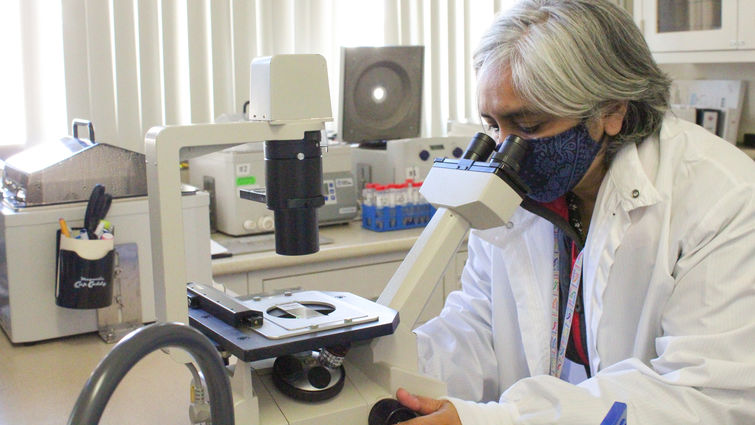 Loma Linda University Health researcher inspects chromosomes under a microscope.