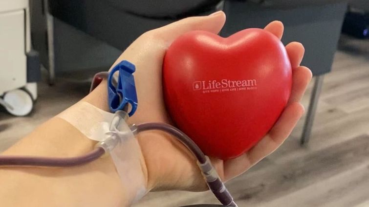 forearm of Caucasian woman holding red heart that says "LifeStream" while giving blood