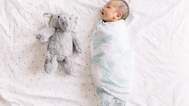 Swaddling a 2 week old newborn. Posing with stuffed elephant buddy.