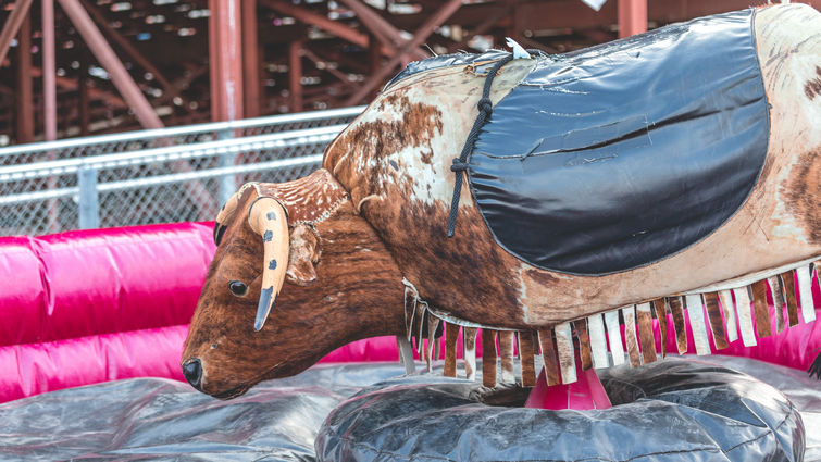 Mechanical bull with soft pink bumber and black padding