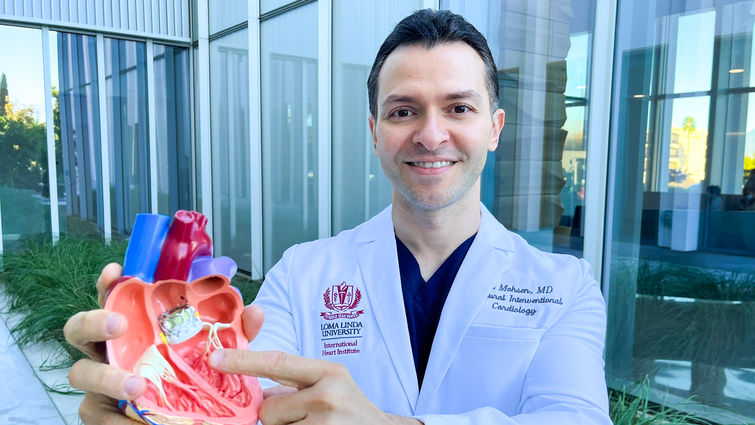 Dr. Amr Mohsen holds a three dimensional replica of a heart, pointing to an artificial valve implanted during a transcatheter aortic valve replacement (TAVR). The procedure presents a new option to treat patients with aortic stenosis. Dr. Amr Mohsen holds a three dimensional model of a human heart, pointing to an artificial heart valve that gets implanted during transcatheter aortic valve replacement.