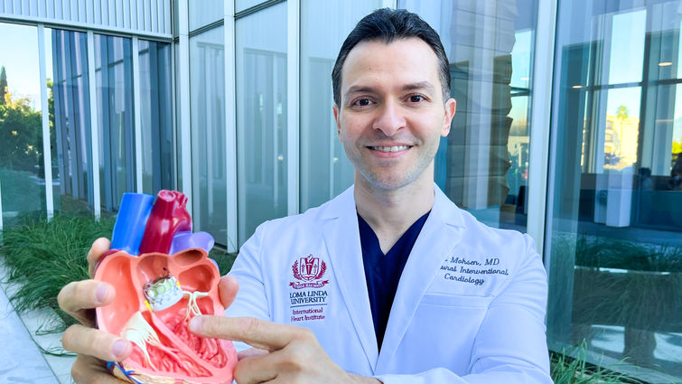 Dr. Amr Mohsen holds a three dimensional model of a human heart, pointing to an artificial heart valve that gets implanted during transcatheter aortic valve replacement.  