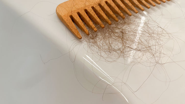 Photo of hair in a comb