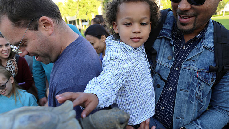 Child pets Ladybug, a 300-pound Galapagos Tortoise