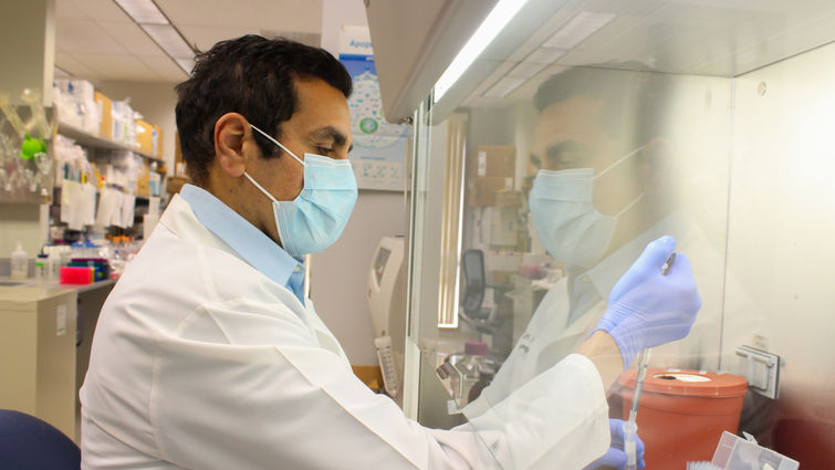 Hisham Abdel-Azim, MD, MS, will serve as head of LLU Cancer Center's new Division of Transplant and Cellular Therapy. Hisham Abdel-Azim, MD, MS, will serve as head of LLU Cancer Center's new Division of Transplant and Cellular Therapy.