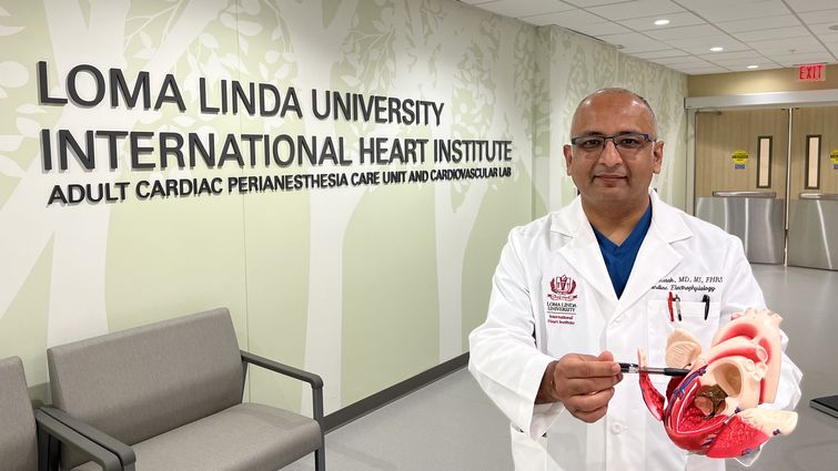 Dr. Kamal Kotak holds a three-dimensional model of a human heart.
