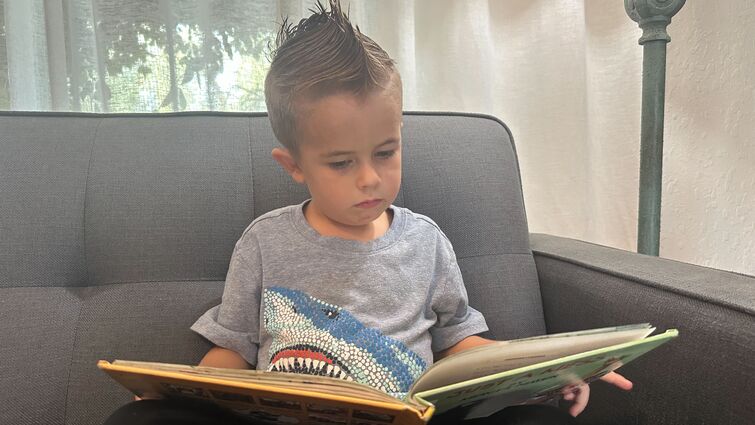 Young boy sits on sofa and reads book
