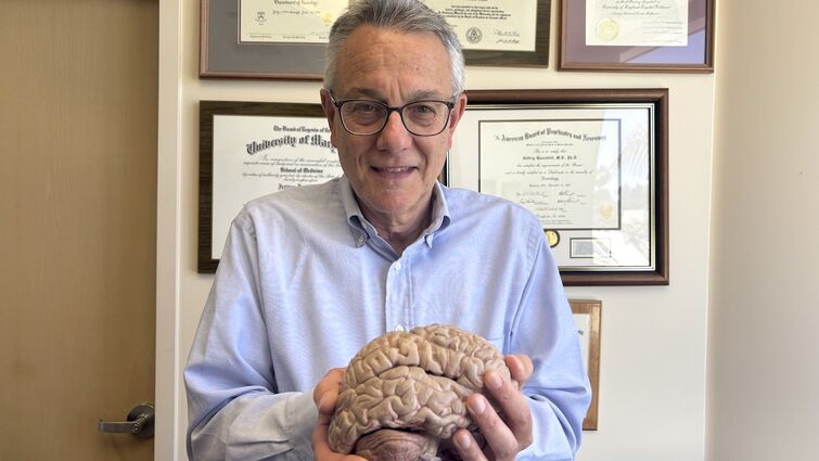 A white male doctor stands in front of a wall with diplomas holding a model of a brain
