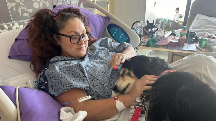 Desiree Damian being visited by Loma Linda University Health therapy dog, Chance, before her heart transplant. Woman lays in a hospital bed with glasses on and a black and dog medium sized dog laying across her lap.