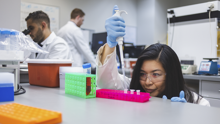 LLU School of Pharmacy students and faculty in research lab. School of Pharmacy Research