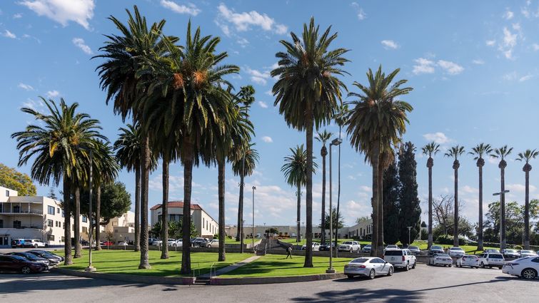 Spanish style building exterior, surrounded by palm trees and a parking lot