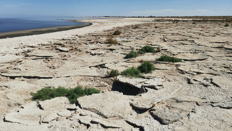 Salton Sea shoreline