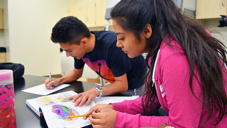 In the first lab held at San Manuel Gateway College, Angelica Estrada-Tinoco and Miguel Ibarra study the intricacies of the human cell.