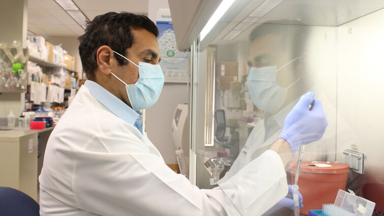 This Center of Excellence is led by Hisham Abdel-Azim, MD, MS, division chief of Transplant and Cell Therapy/Hematological Malignancies Dr, Hisham Abdel-Azim working in a clinical science lab