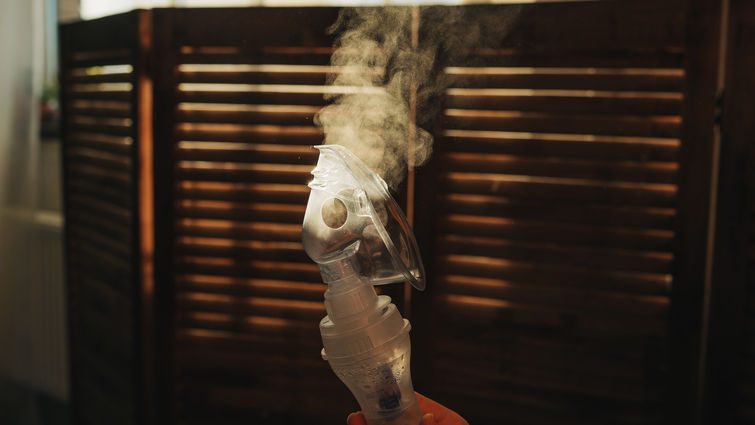 Steam inhaler