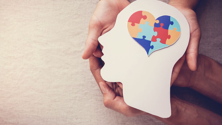 Behavioral Health Integration Behavioral Health Integration