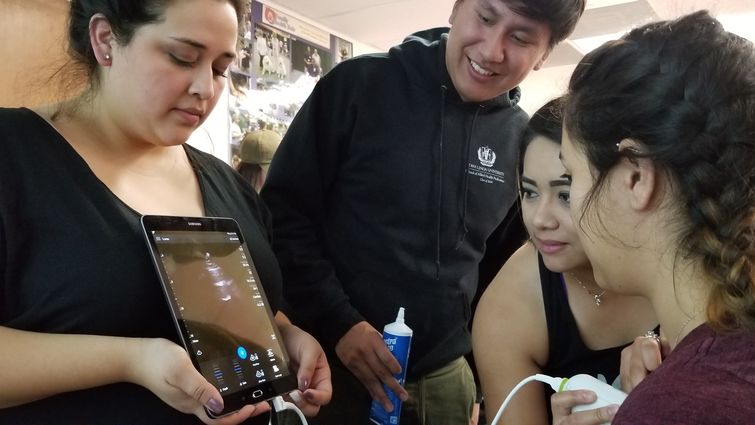 students look at ultrasound screen