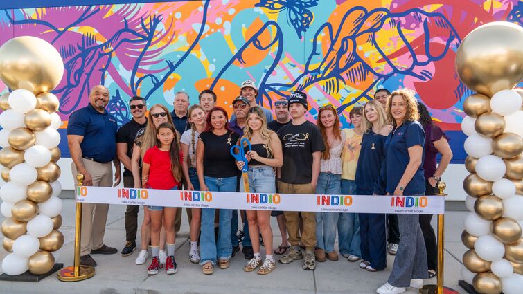 DESI MEMORIAL MURAL UNVEILING