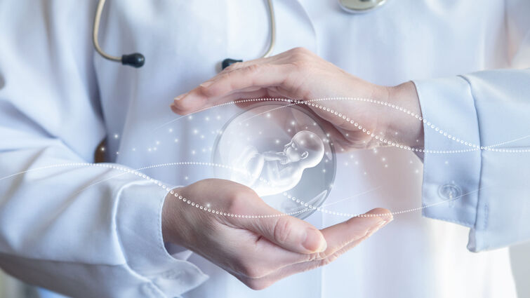 Doctor protecting embryo with hands on blurred background.
