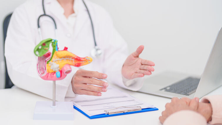 a doctor hands are open with a 3d model of a stomach on the table