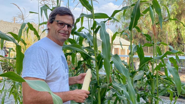 Dr. Anthony Hilliard holds an ear of corn harvested from his garden.