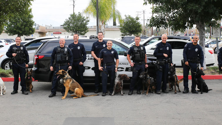 police department officers pose for picture with their k9s in-front of squad car