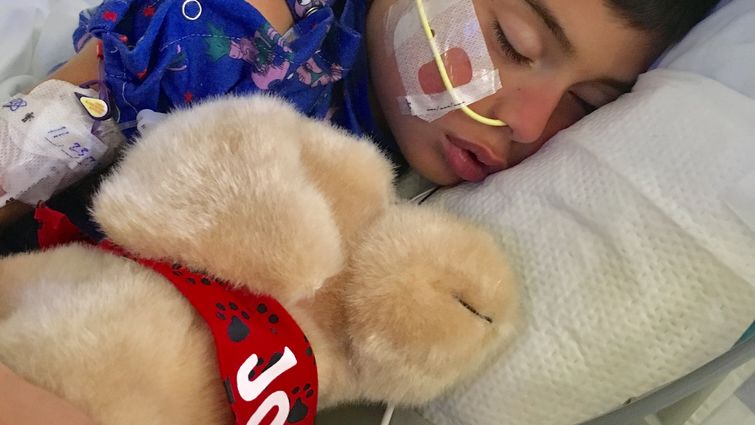 male pediatric patient sleeps in hospital bed with stuffed animal toy