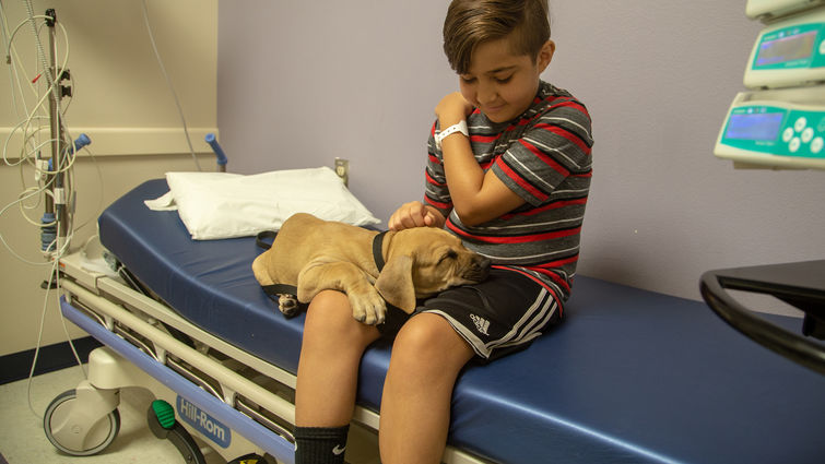 One puppy falls asleep on patient Caiden Josa, 10, from Beaumont, California.