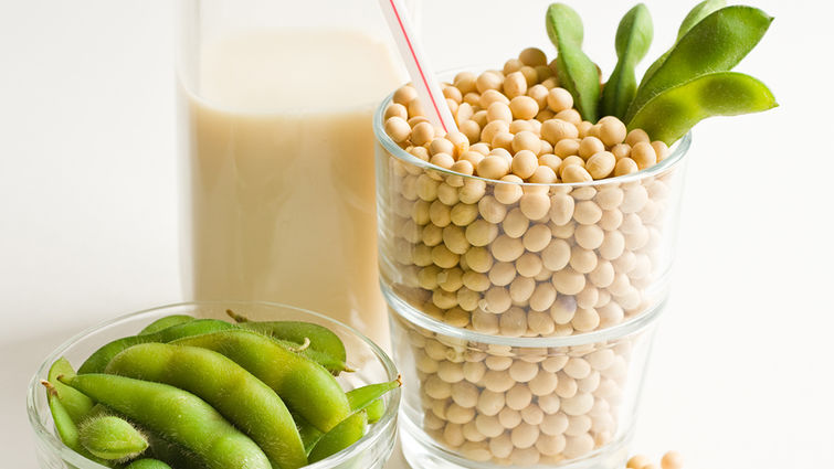 Loma Linda University study will find out if a fermented soybean product reduces the risk of heart disease.