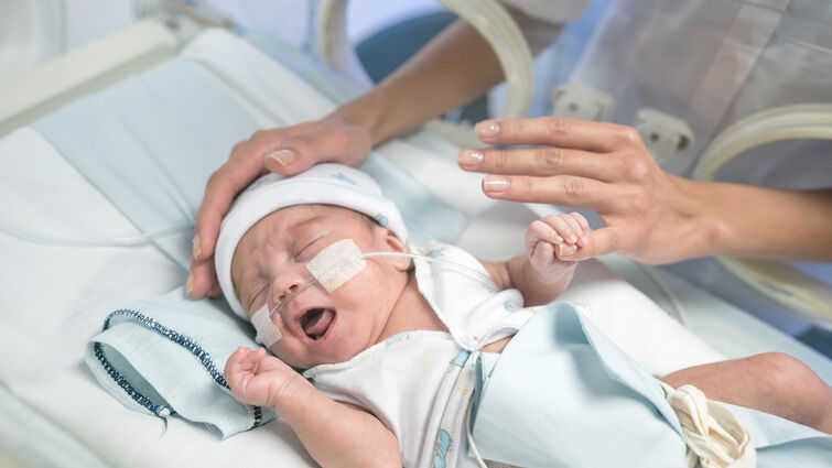 Premature baby in an incubator with oxygen and unrecognizable mom caressing baby trying to calm him down