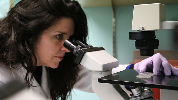 Kimberly Payne, PhD, CEO of Elf Zone, Inc, searches for better treatments for a deadly form of childhood cancer. (photo by Kristen Hwang)