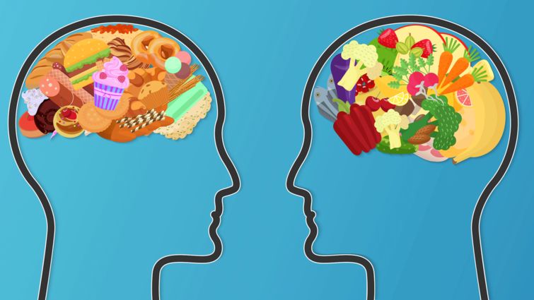 food in brain