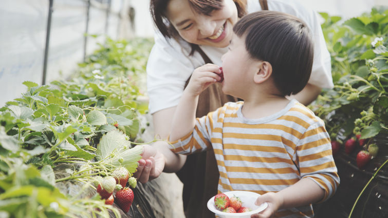 mother feeding son a strawberry