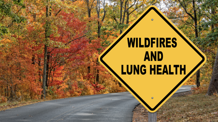 Wildfires and Lung Health
