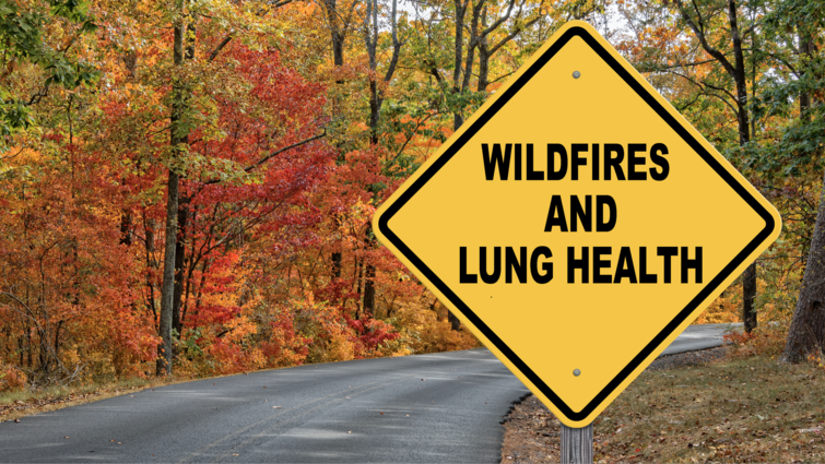 Wildfires and Lung Health Wildfires and Lung Health