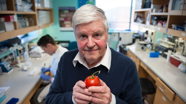 William Langridge is a professor of biochemistry at the Loma Linda University School of Medicine. (photo by Ansel Oliver)