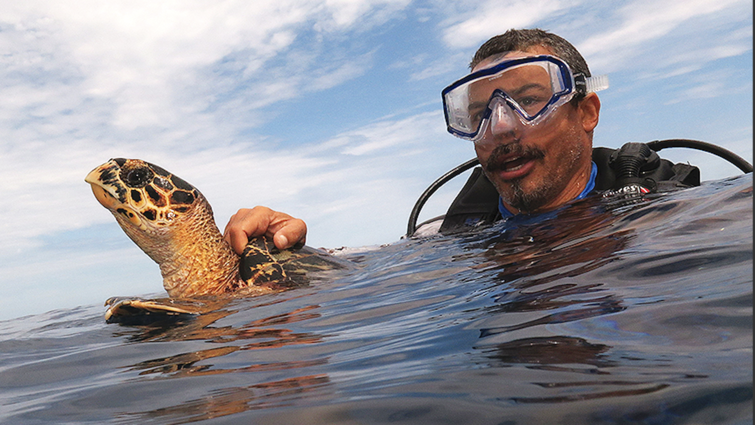 man in snorkel gear on the ocean's surface with a sea turtle
