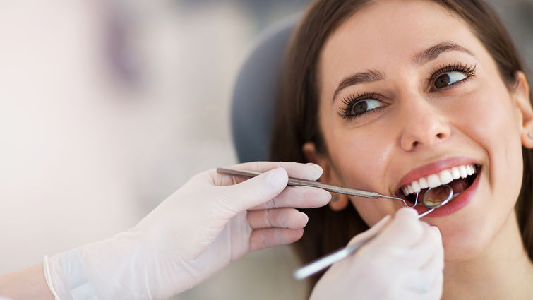 Dentists checks patients teeth