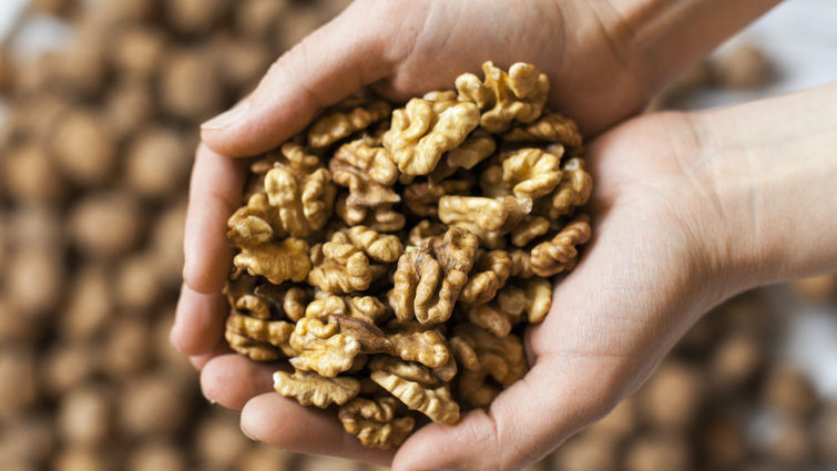 Consuming walnuts can lower cholesterol, reduce risk for heart disease