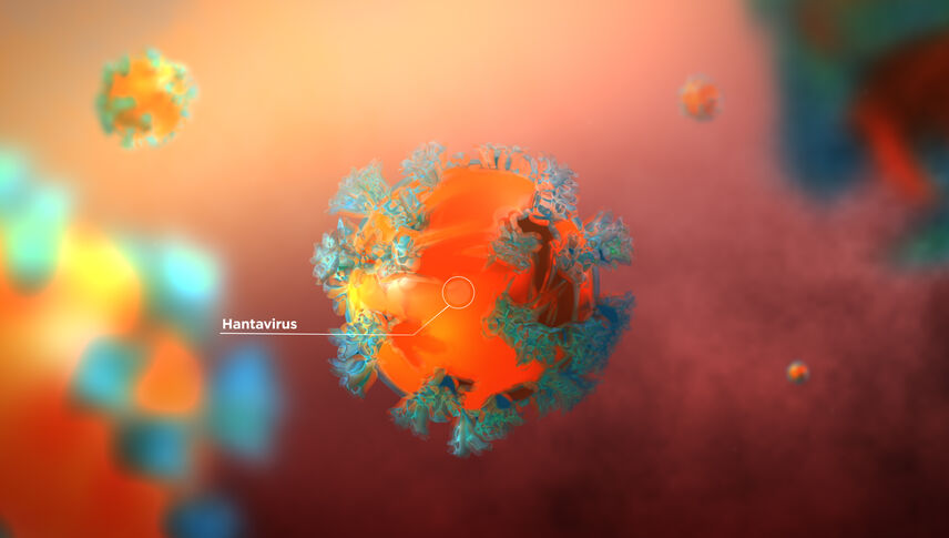 3D Animation of Hantavirus Bacteria in Human Body